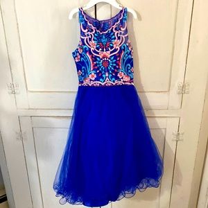 Amelia brand size 4 blue embroidered tulle dress with pink floral design flower